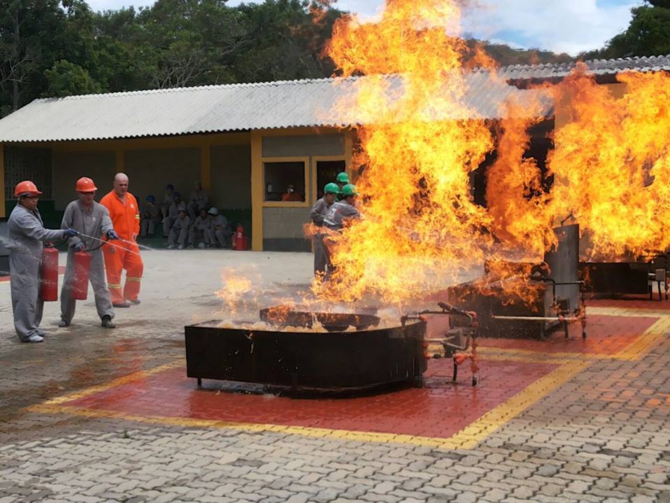 10149942_1578146692397131_2032572512_n