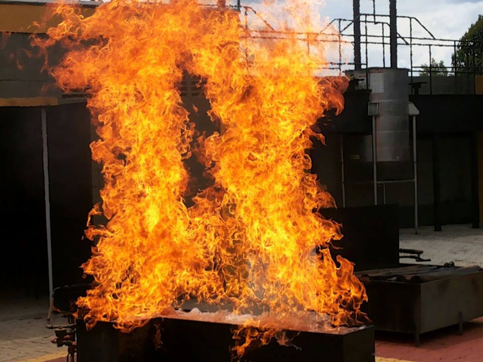 10968232_1578136289064838_1154841238_n